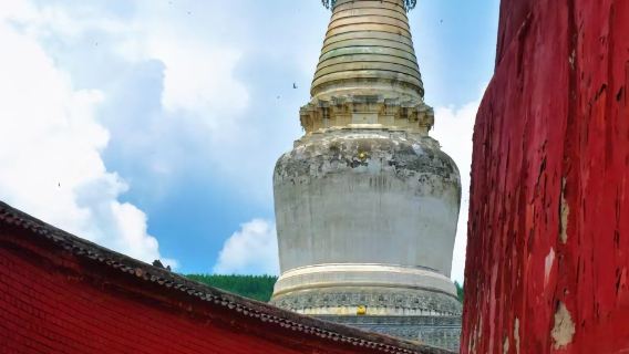 五台山祈福一日遊【太原/忻州起止訂製包車+1對1導遊講解】