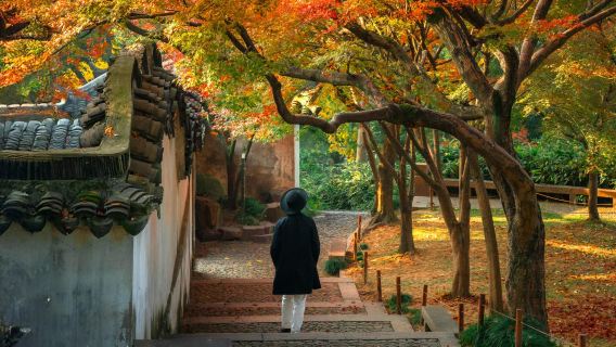 Tour riêng tư độc quyền từ Thượng Hải đến Tô Châu tham quan 4 điểm đến