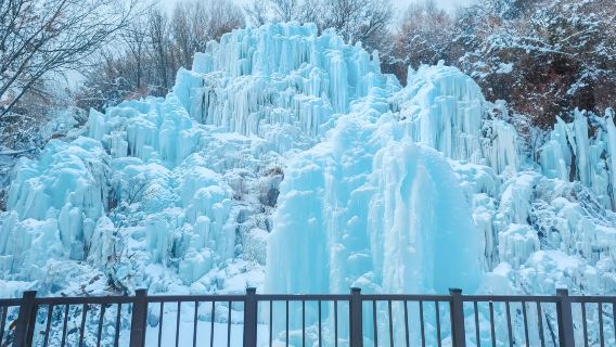 Wisata Musim Dingin Korea Selatan di Pinggiran Kota: Perjalanan Satu Hari ke Lembah Ikan Terbang + Seluncur Salju/Ski + Memetik Stroberi