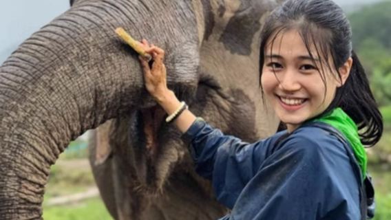 タイ・チェンマイのチャプリンエレファントサンクチュアリチェンマイ ワンデーツアー【ホテル送迎付き|日本語・英語サービス・食事込み】