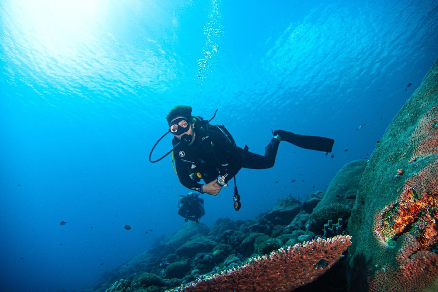 Menyelam dan Snorkeling dengan Manta Ray Nusa Penida