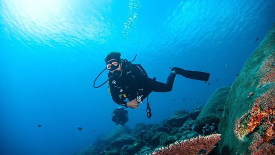 Scuba Diving and Snorkeling with Manta Ray Nusa Penida