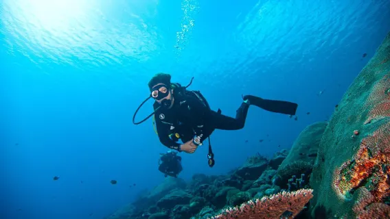Scuba Diving and Snorkeling with Manta Ray Nusa Penida