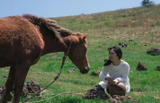 莆田Trip Moments【婚紗照微電影航拍/婚禮跟拍攝影/化妝服裝/定制】