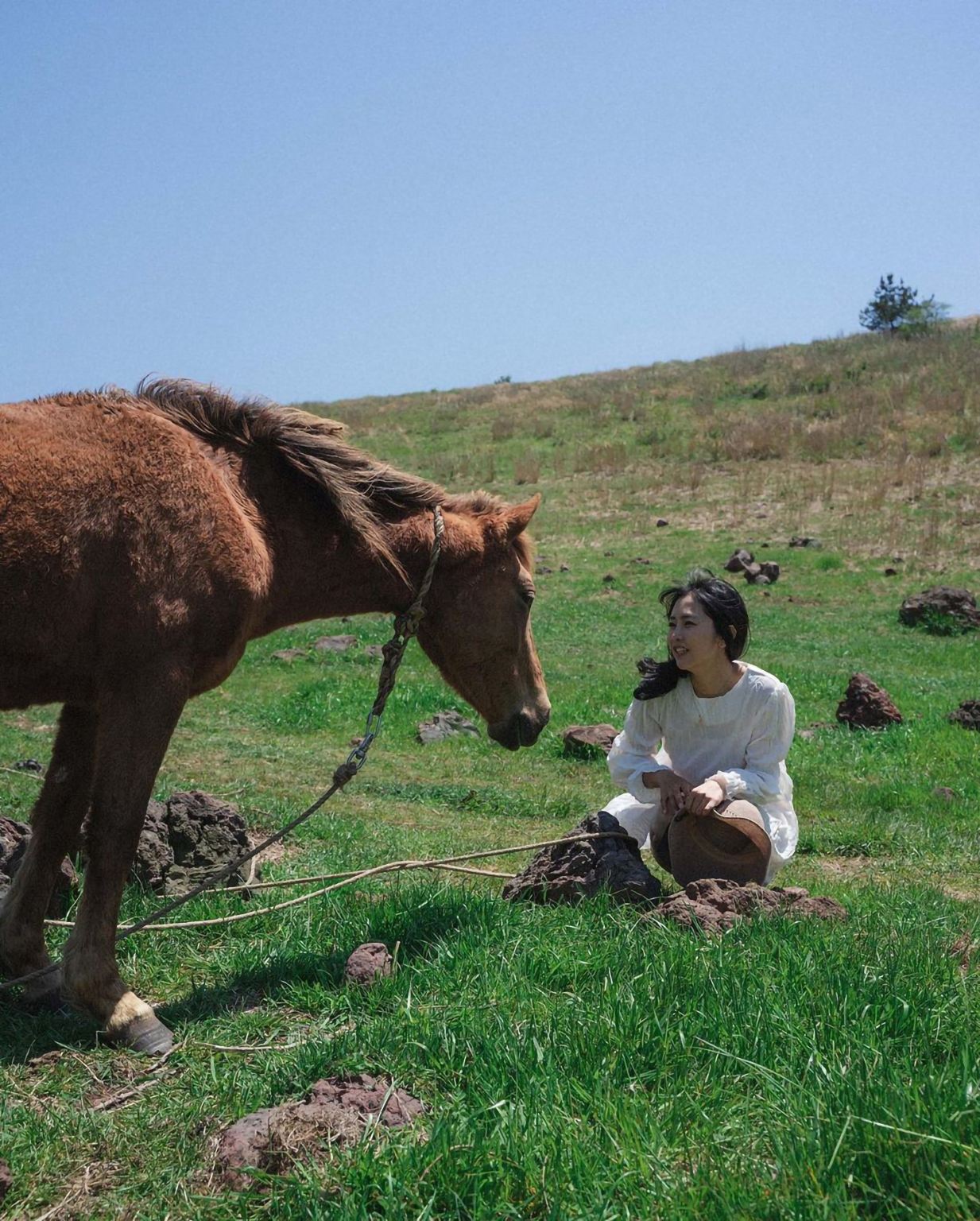 莆田Tripメモリー【ウェディングフォト・ショートムービー・空撮/結婚式撮影/メイク・衣装/貸切チャーター・ガイドのカスタマイズ】