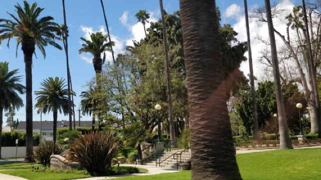 美國洛杉磯比佛利山+洛杉磯郡藝術博物館+日落大道【中文專車】