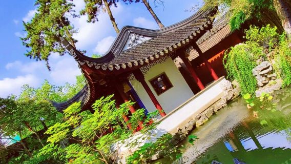 Suzhou + Lion Forest Garden + Tempio Hanshan / guida / cinese / inglese / russo / itinerario personalizzabile