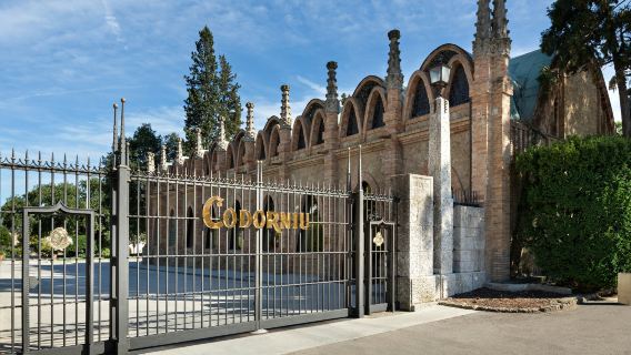 Codorníu Winery: Guided Tour + Wine Tasting