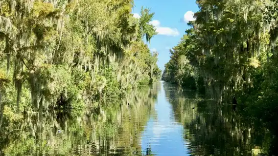 Airboat ride through the New Orleans wetlands
