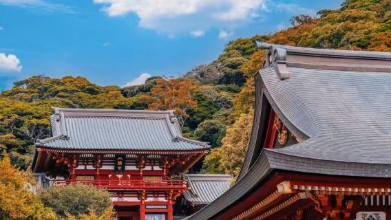 和歌山市+紀州東照宮+紀三井寺+黑潮市場一日遊【中文司機】