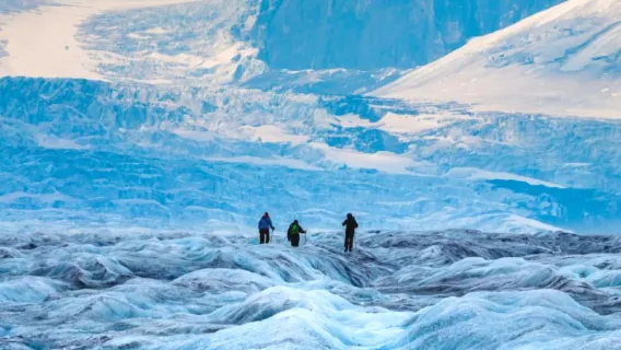 one-day tour from Calgary, Canada to Columbia Glacier, Peyto Lake and Bow Lake