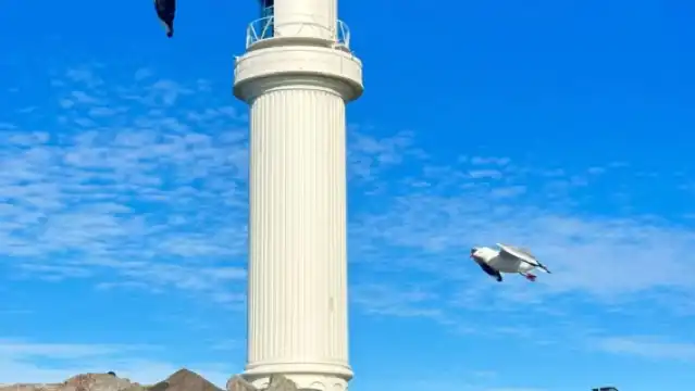 雪梨Kima臥龍港包車一日遊[行程可調//普通話司導]