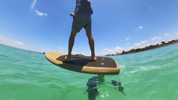 SarasotaExperiences