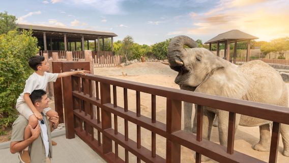 Dubai city tour with Gold & Spice Souk & Dubai Safari Park tour with Transfers