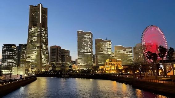 日本東京+橫濱港未來21一日遊/行程可調-可定制多日