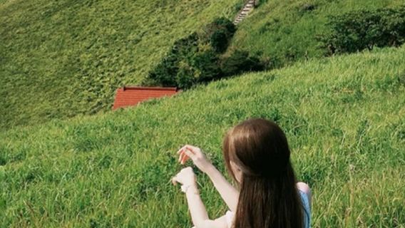 日本東京伊豆半島一日遊·9人小團丨大室山+城崎海岸+卡皮巴拉