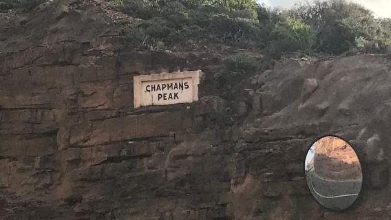 Shared Guided Tour in Cape of Good Hope and Table Mountain