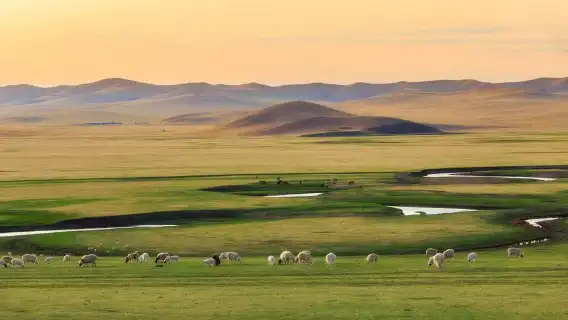 ฮูฮอต: ทัวร์ส่วนตัว 6 วันสู่ทะเลทรายฮุยเติงซีเลและคูบูฉี