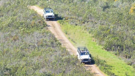 Algarve: 6-stündige Jeep-Tour mit Mittagessen