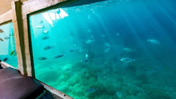 Krk: Tour mit dem gelben Halb-U-Boot