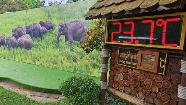 Depuis Bangkok : excursion d'une journée au parc national de Khao Yai