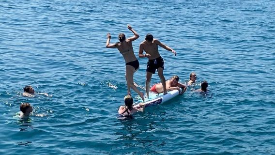 Half Day Dolphin Cruise Fuengirola – 43ft Luxury Yacht Sundeck - Chamuel Charters