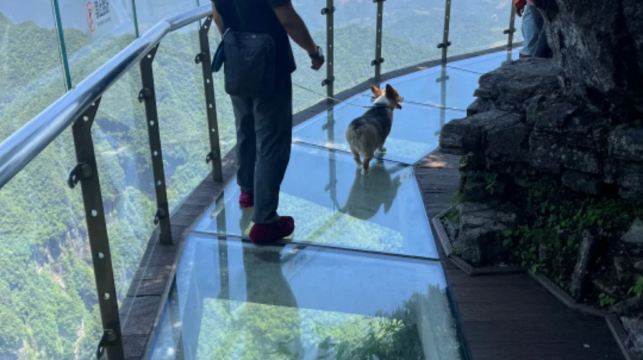 張家界天門山半日獨立包團+玻璃棧道+導遊+司機接送