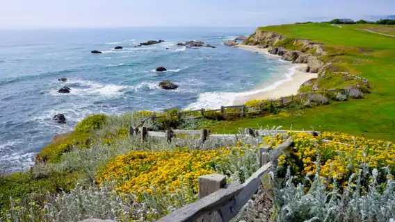 美國舊金山周邊半月灣+蒙特雷小鎮+卡梅爾小鎮一日遊10H