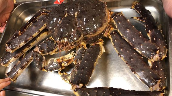 однодневный тур по ловле королевского краба в Норвегии [3 часа|Английская группа · Киркенес туда и обратно