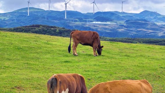 六盤水烏蒙大草原一日遊【上門接送.無購物.開車進草原】
