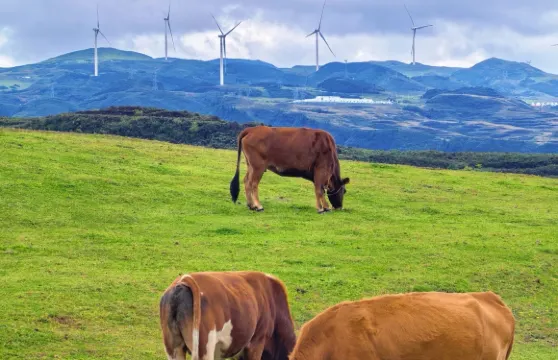 六盤水烏蒙大草原一日遊【上門接送.無購物.開車進草原】