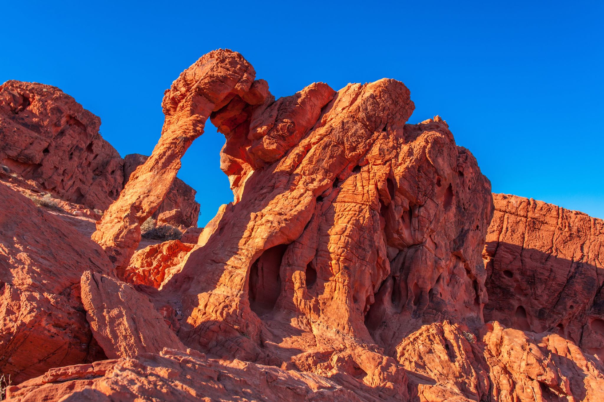 однодневный тур в Парк штата Вэлли оф Файер | эксклюзивная мини-группа до 12 человек
