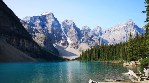 Excursión de un día de arte y cultura: Galería de Arte de Vancouver + Isla Granville