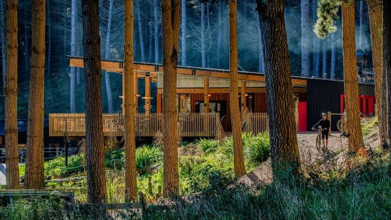 Scenic Chairlift Ride at Christchurch Adventure Park