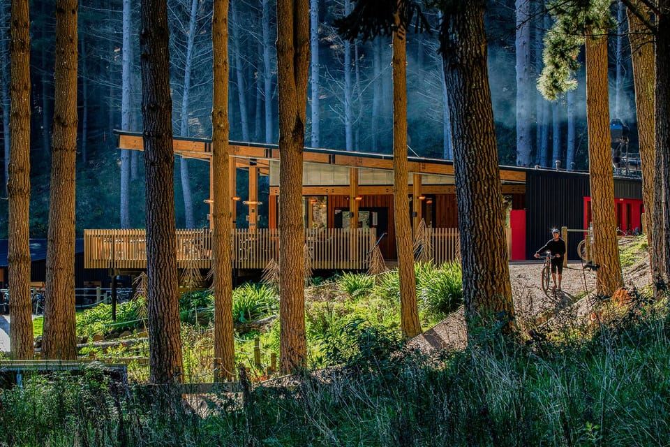 크라이스트처치 어드벤처 파크의 경치 좋은 체어리프트 타기