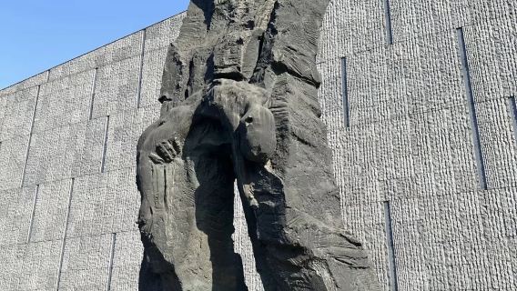 侵華日軍南京大屠殺遇難同胞紀念館門票代約+金牌導遊講解