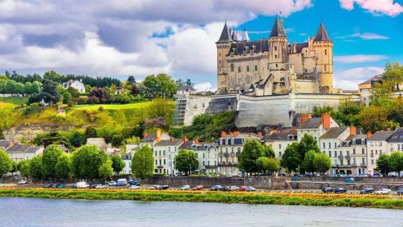Avignon Palais des Papes + Pont d'Avignon + Churches + Museums 10-hr private charter day tour