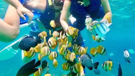 Pengalaman Snorkeling di Blue Lagoon Beach, Bali Timur