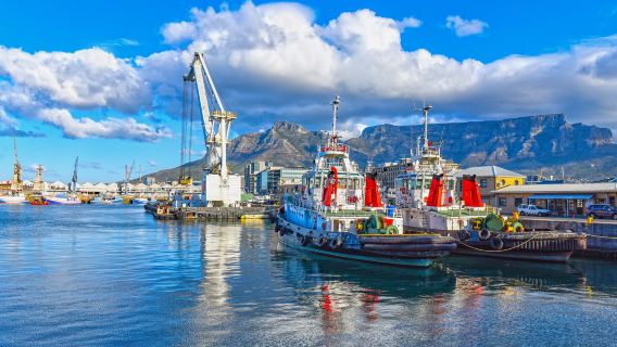 【南非開普敦包車一日遊】碼頭區+豪特灣+大康斯坦提亞葡萄酒莊