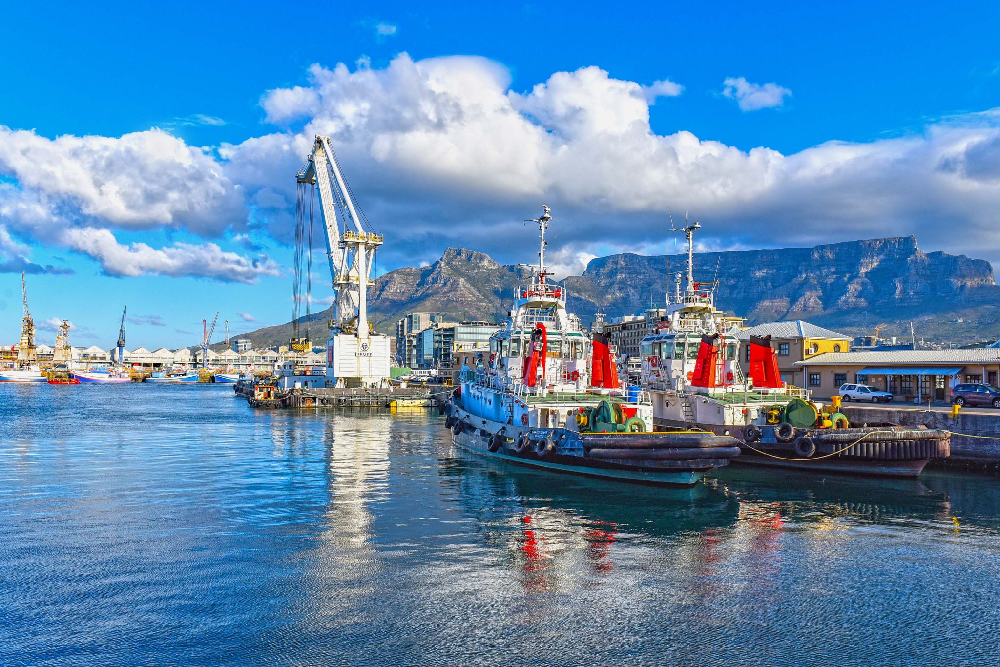 【南非開普敦包車一日遊】碼頭區+豪特灣+大康斯坦提亞葡萄酒莊