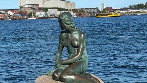 Copenhagen Day Tour with The Little Mermaid and Hans Christian Andersen by Henry Luckow-Nielsen - Customizable Itinerary
