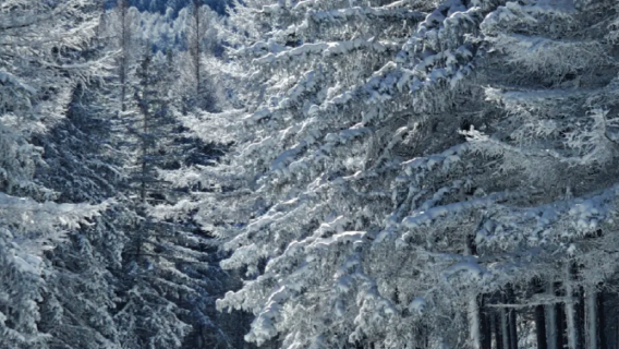 [Snowfield Off-Road Thrills + Exclusive Photography] Winter Off-Road Adventure Day Trip