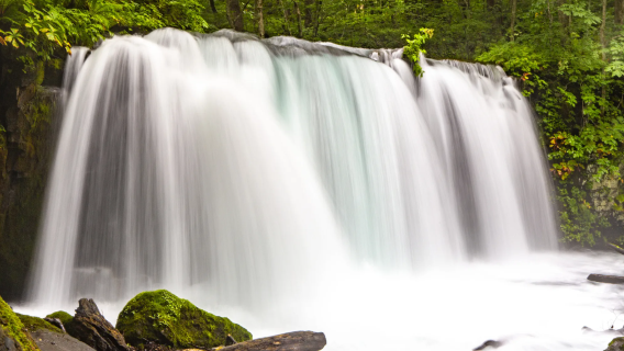 日本青森+奧入瀨溪流+八甲田山+十和田湖一日遊
