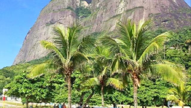 巴西里約熱內盧-基督山-糖麵包山 巴西全境包車 私人專享