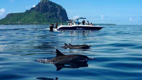 모리셔스 돌고래 체험 + 해변 승마 + 그리 그리 비치 + 차마렐 칠색 지구 지질공원 [로맨틱 당일 치기 여행]