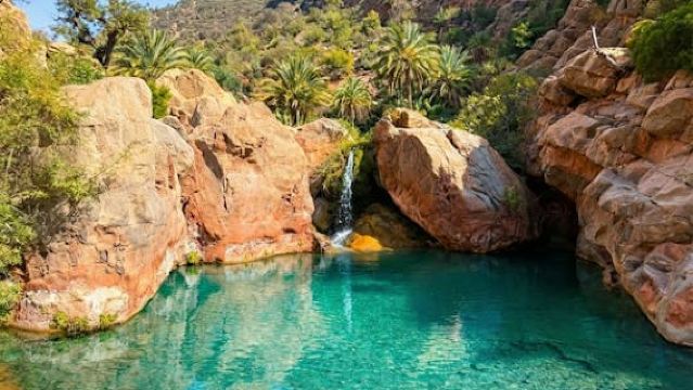 Half-day guided tour to berber Oasis with short trekking