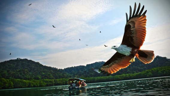 Passeio Compartilhado de Lancha Rápida pelas Ilhas de Langkawi
