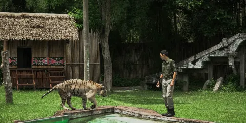 釋放野性:峇里島終極野生動物園體驗連門票及去程/回程接送