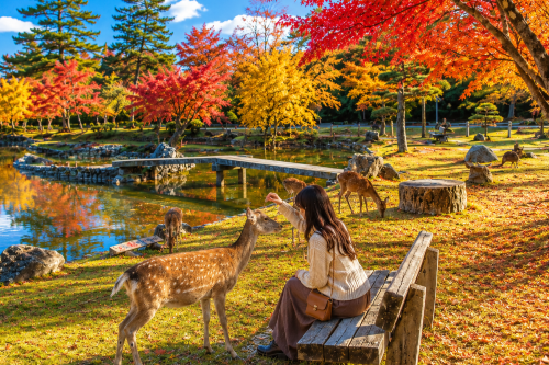 【保證成團】京都嵐山+伏見稻荷大社+奈良公園一日遊