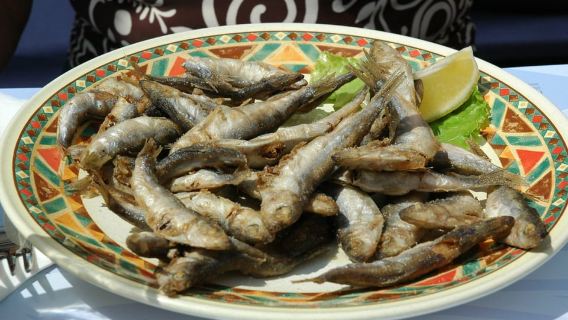 Sorrento: Fishing Experience to Capri with Lunch On Board